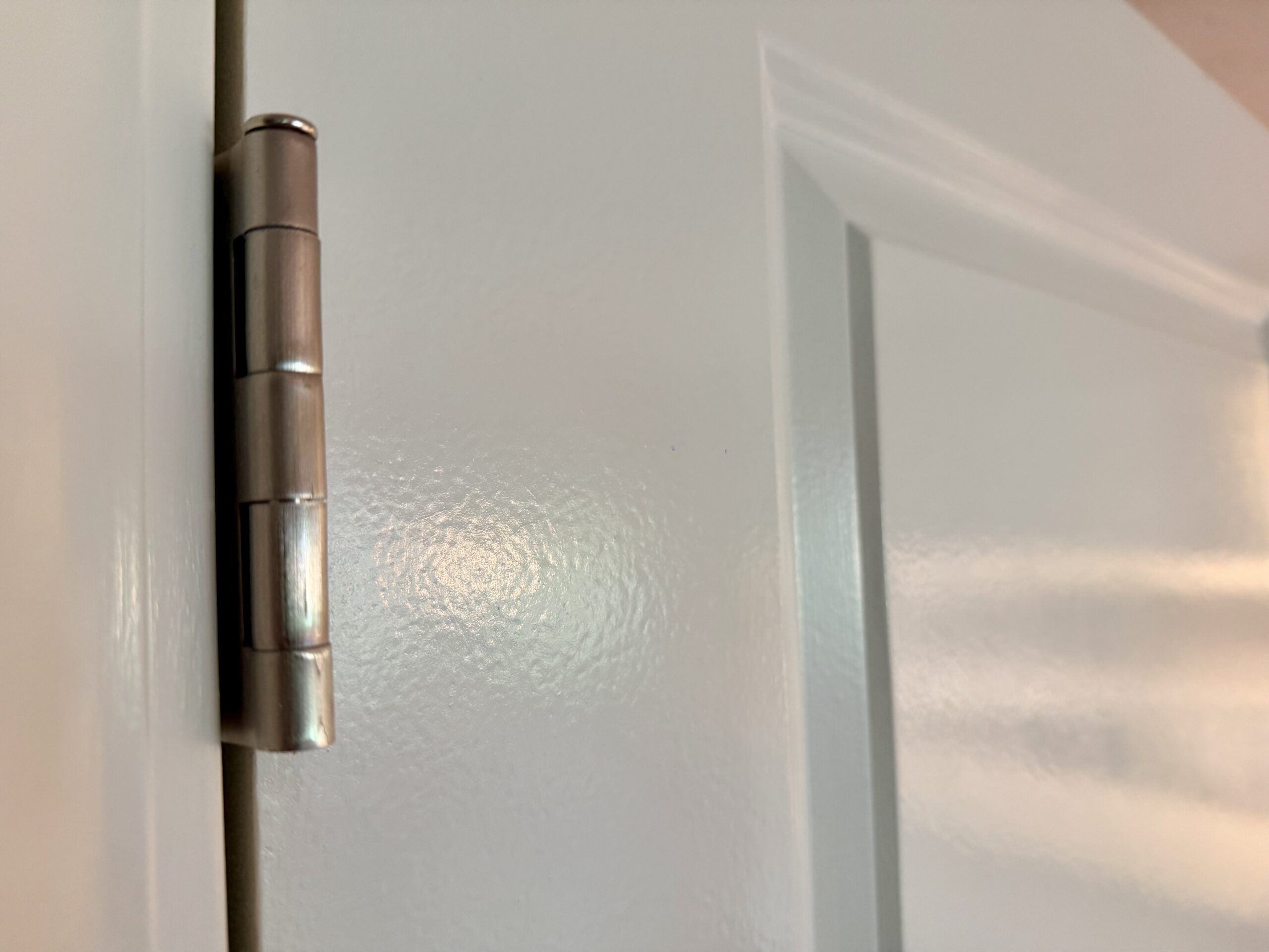 Replaced two-panel white interior door with a brushed nickel knob, closed and latched in its frame